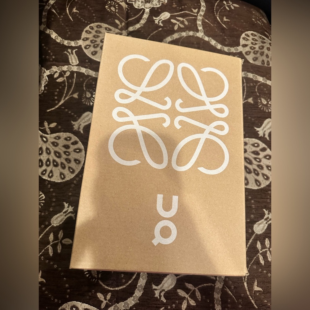 Loewe Beige Box with White Emblem
